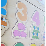 Wooden Puzzles - Assorted